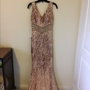 Worn Once Rose Gold Dress